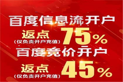 某电商平台的sem竞价推广托管经验